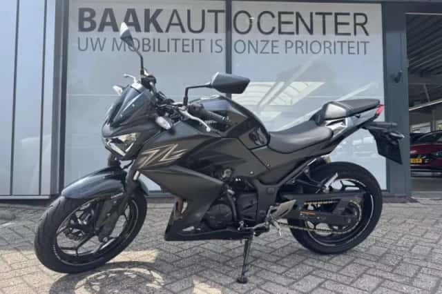 Kawasaki Z300 Tour ABS (2016) thumbnail 2