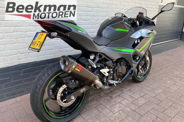 KAWASAKI NINJA 500 (2024) thumbnail 2