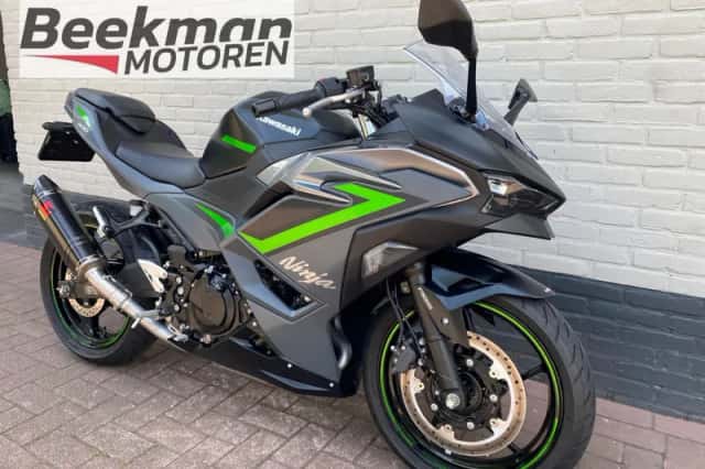 KAWASAKI NINJA 500 (2024) thumbnail 3