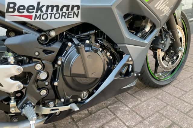 KAWASAKI NINJA 500 (2024) thumbnail 6