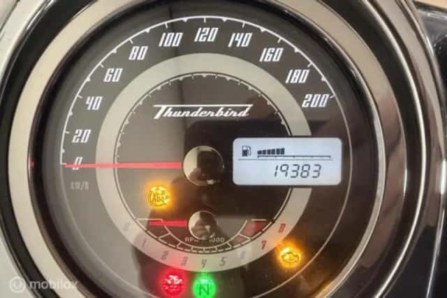 Triumph Thunderbird (2009) thumbnail 3