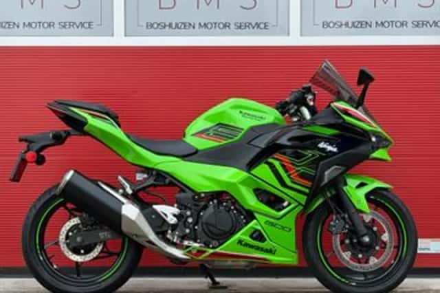 Kawasaki Ninja 500 (2024) thumbnail 1