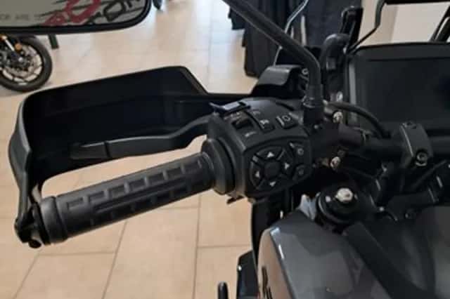 Harley-Davidson Pan America (2023) thumbnail 5
