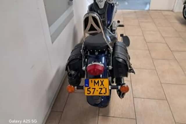 Kawasaki VN 800 Classic (1997) thumbnail 2