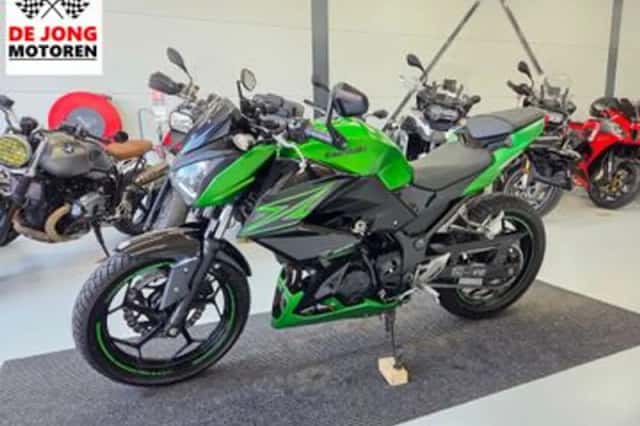 Kawasaki Z300 Performance (2016) thumbnail 1