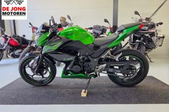 Kawasaki Z300 Performance (2016) thumbnail 2