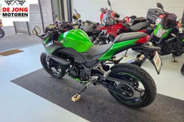 Kawasaki Z300 Performance (2016) thumbnail 3