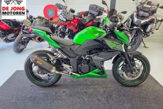 Kawasaki Z300 Performance (2016) thumbnail 5