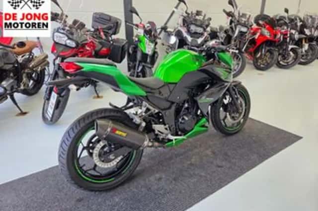 Kawasaki Z300 Performance (2016) thumbnail 6