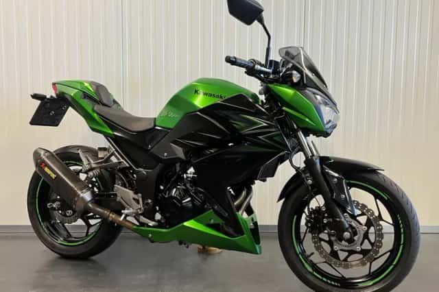 Kawasaki Z300 ABS PERFORMANCE Z300 (2017) thumbnail 1
