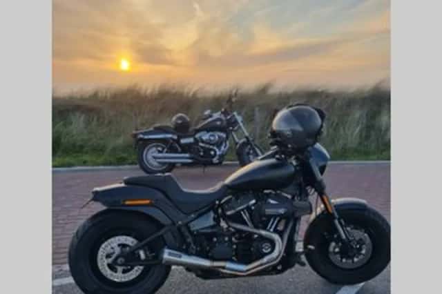 Harley-Davidson Fatbob 114 Fxfbs (2019) thumbnail 2