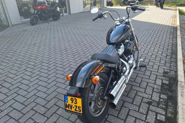 Harley-Davidson Softail Standard (2021) thumbnail 3