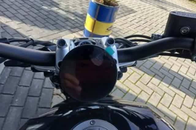Benelli Leoncino (2026) thumbnail 6
