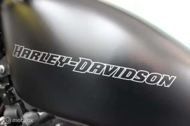 Harley-Davidson XL 883N Sportster Iron (2010) thumbnail 3