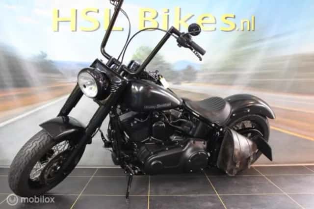 Harley-Davidson 103 FLS Softail Slim (2015) thumbnail 2