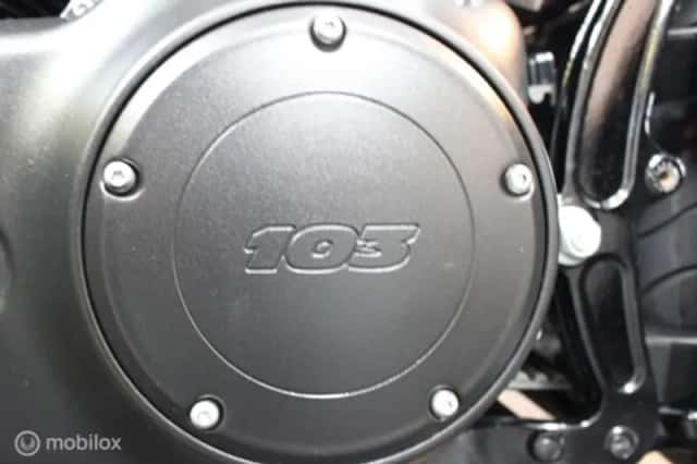 Harley-Davidson 103 FLS Softail Slim (2015) thumbnail 5