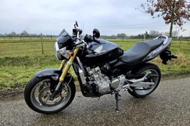 Honda CB 600 F Hornet (2006) thumbnail 1