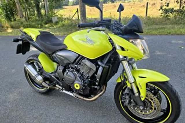 Honda CB 600 F Hornet (2009) thumbnail 6