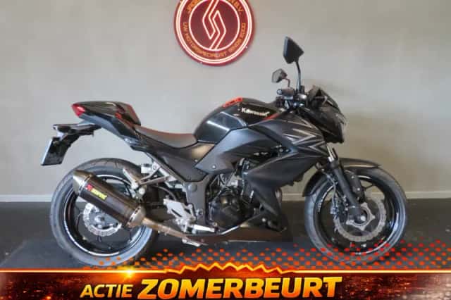 Kawasaki Z300 (2016) thumbnail 1
