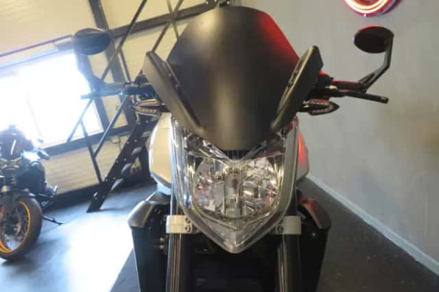Yamaha FZ1 (2009) thumbnail 4