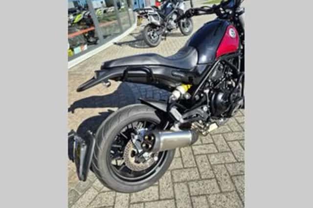 BENELLI LEONCINO 500 (2024) thumbnail 3