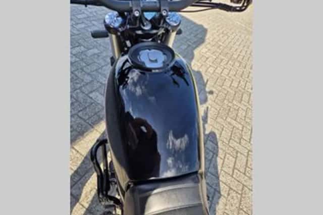 BENELLI LEONCINO 500 (2024) thumbnail 6