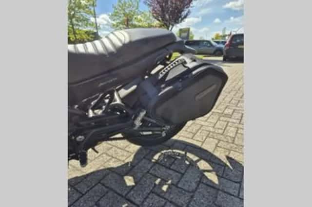 BENELLI LEONCINO 500 (2025) thumbnail 5