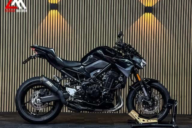 Kawasaki Z900 (2024) thumbnail 2