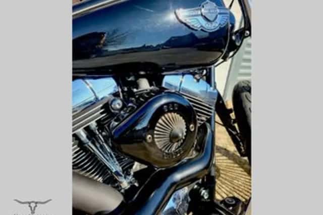 Harley-Davidson Softail (2003) thumbnail 6