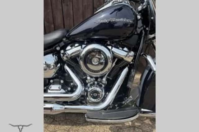 Harley-Davidson Softail (2019) thumbnail 2