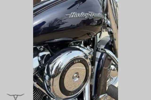 Harley-Davidson Softail (2019) thumbnail 5