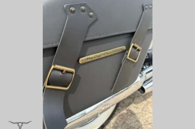 Harley-Davidson Softail (2019) thumbnail 6