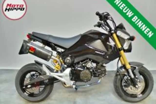 Honda MSX 125 (2015) thumbnail 1