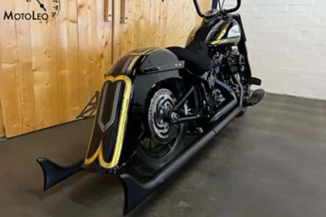 Harley-Davidson Heritage Softail (2021) thumbnail 6