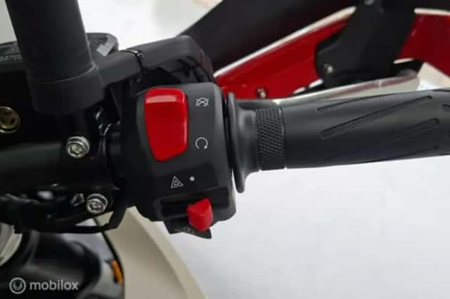 Benelli Bkx 300 Trail (2026) thumbnail 6