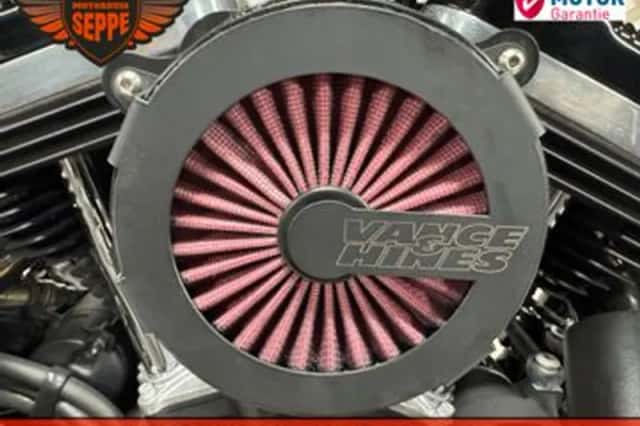 Harley-Davidson Sportster (2013) thumbnail 5