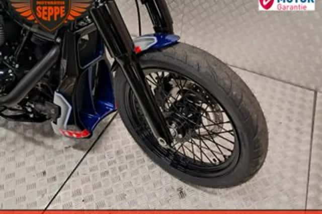 Harley-Davidson Softail (2020) thumbnail 3