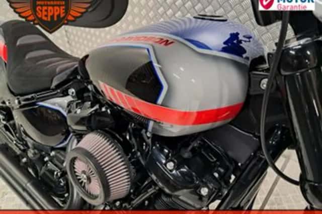 Harley-Davidson Softail (2020) thumbnail 6