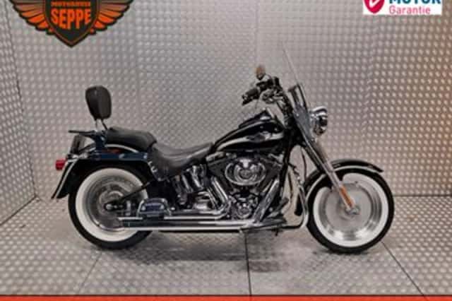 HARLEY-DAVIDSON FAT BOY FLSTF (2003) thumbnail 2