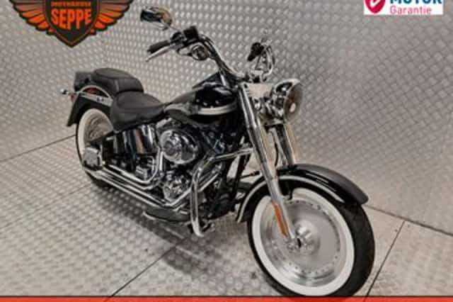 HARLEY-DAVIDSON FAT BOY FLSTF (2003) thumbnail 3