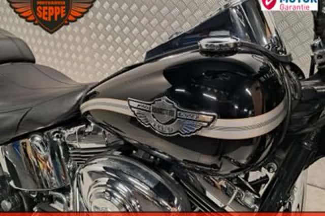 HARLEY-DAVIDSON FAT BOY FLSTF (2003) thumbnail 6