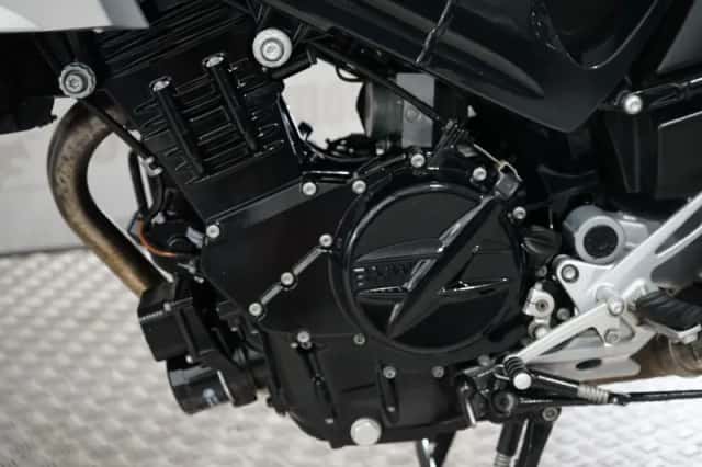 BMW F 800 S ABS SPECIAL (2009) thumbnail 6