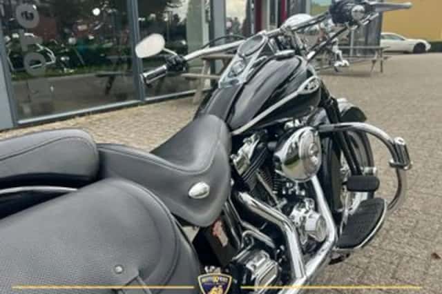 Harley-Davidson Springer Classic Flstsci Softail (2005) thumbnail 4