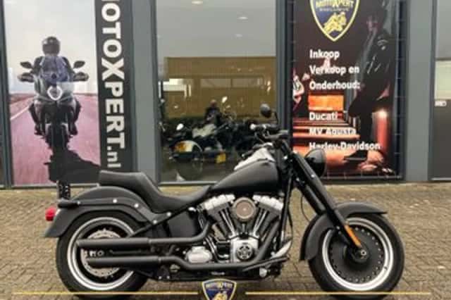 Harley-Davidson FAT BOY LO Flstfb (2010) thumbnail 1