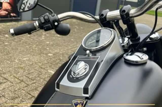 Harley-Davidson FAT BOY LO Flstfb (2010) thumbnail 3