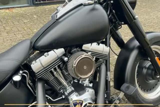 Harley-Davidson FAT BOY LO Flstfb (2010) thumbnail 4