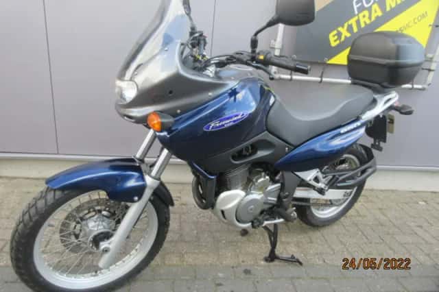 Suzuki XF 650 Freewind (1999) thumbnail 3