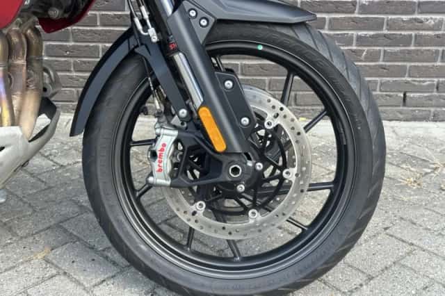 Triumph Tiger 1200 GT PRO (0) thumbnail 4