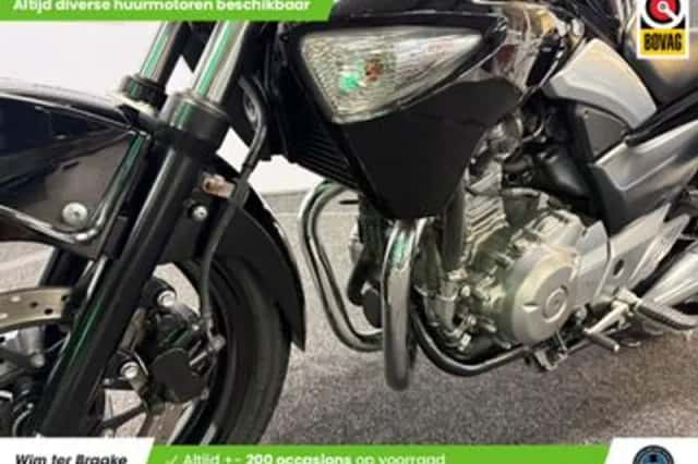 Suzuki Inzuma 250 (2014) thumbnail 6