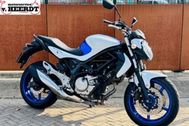 Suzuki Gladius (2015) thumbnail 1